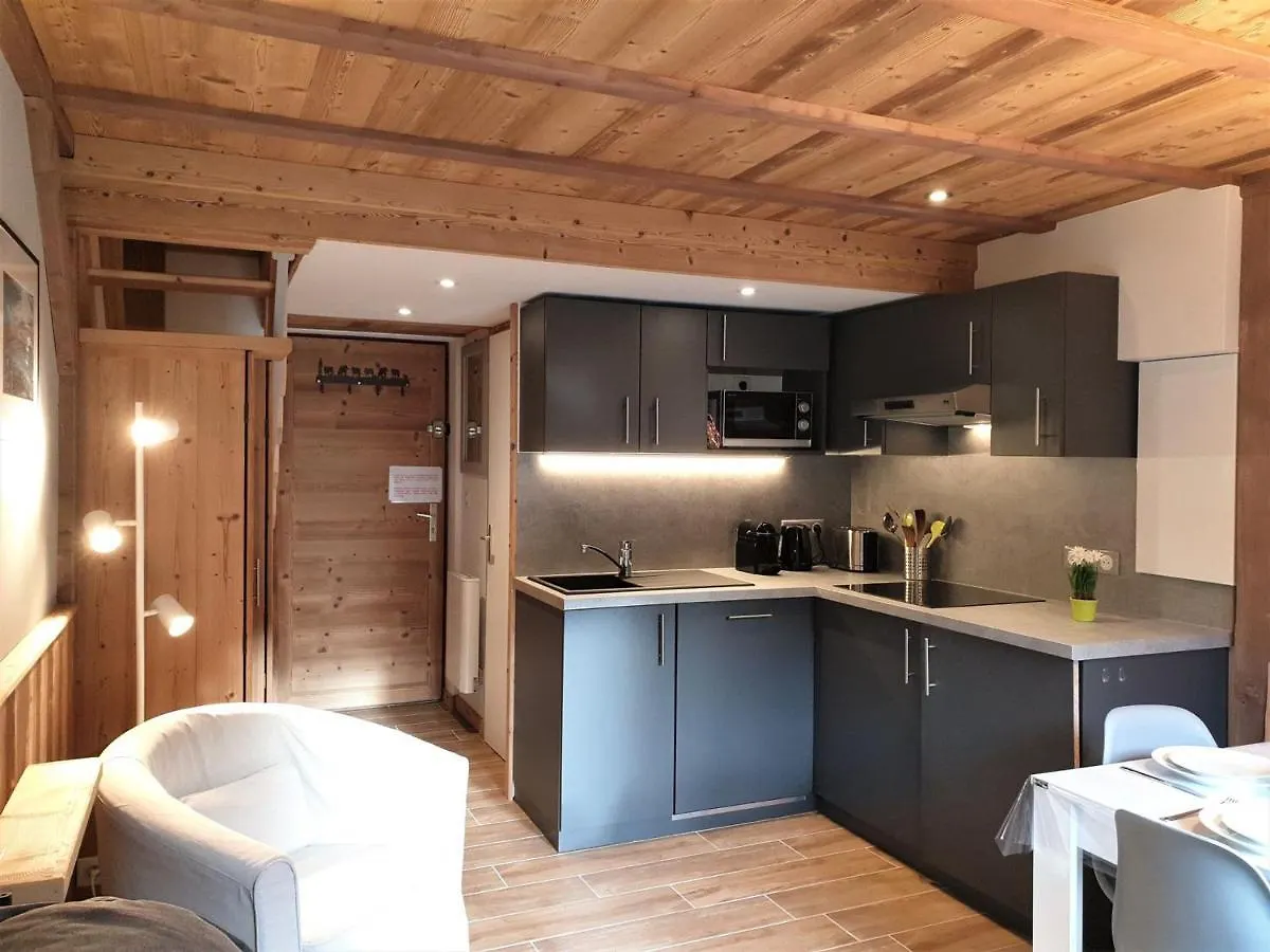 Appartement Renove, 4 Pers, Pied Des Pistes De Nyon, Morzine, Parking, Wifi Et Animaux Acceptes - Fr-1-754-48