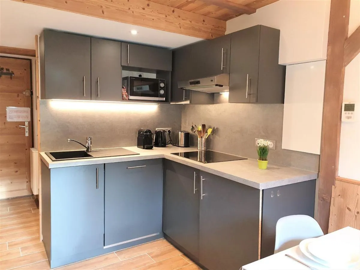 Appartement Renove, 4 Pers, Pied Des Pistes De Nyon, Morzine, Parking, Wifi Et Animaux Acceptes - Fr-1-754-48 0*, Morzine