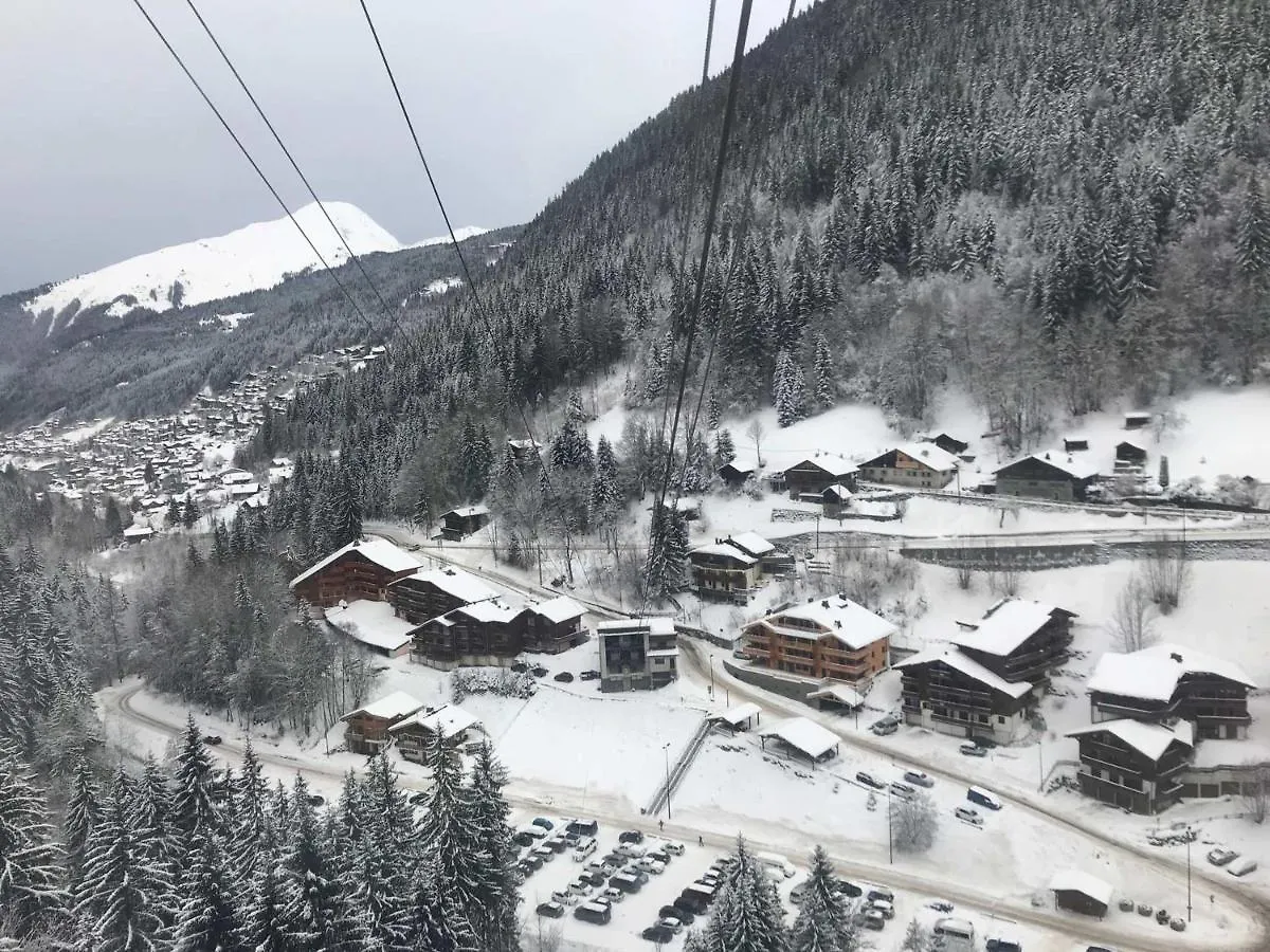 Appartement Renove, 4 Pers, Pied Des Pistes De Nyon, Morzine, Parking, Wifi Et Animaux Acceptes - Fr-1-754-48 Apartment Morzine